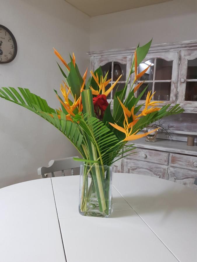 Roy'Al Beach Holidays Sainte-Luce Luaran gambar